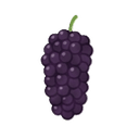 Currants