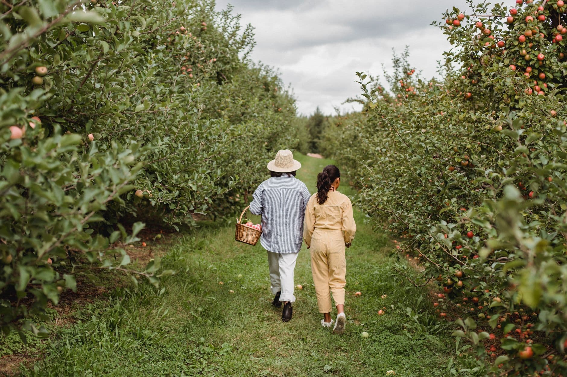 Autumn Harvest Orchard