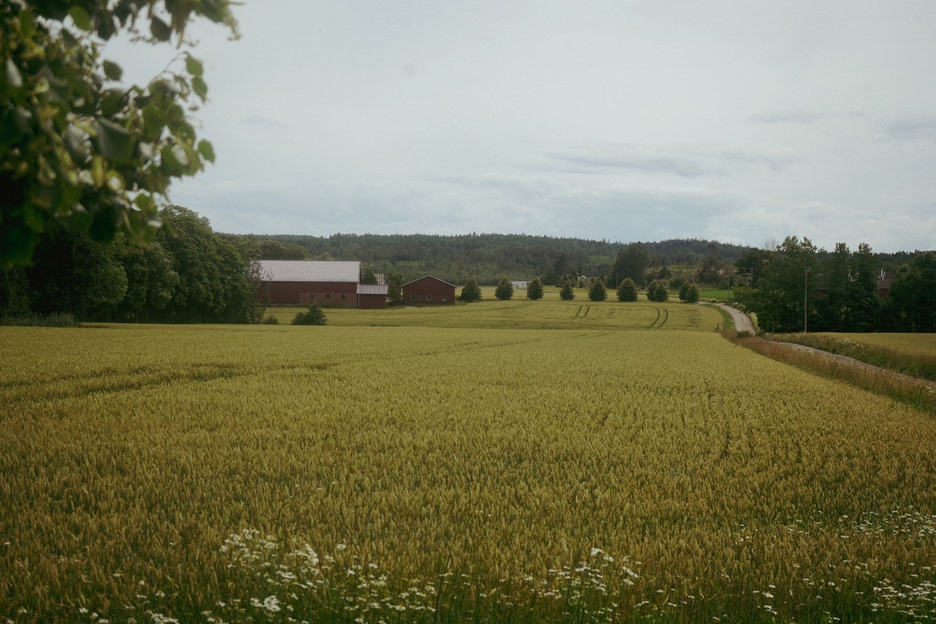 Bauman's Farm Market
