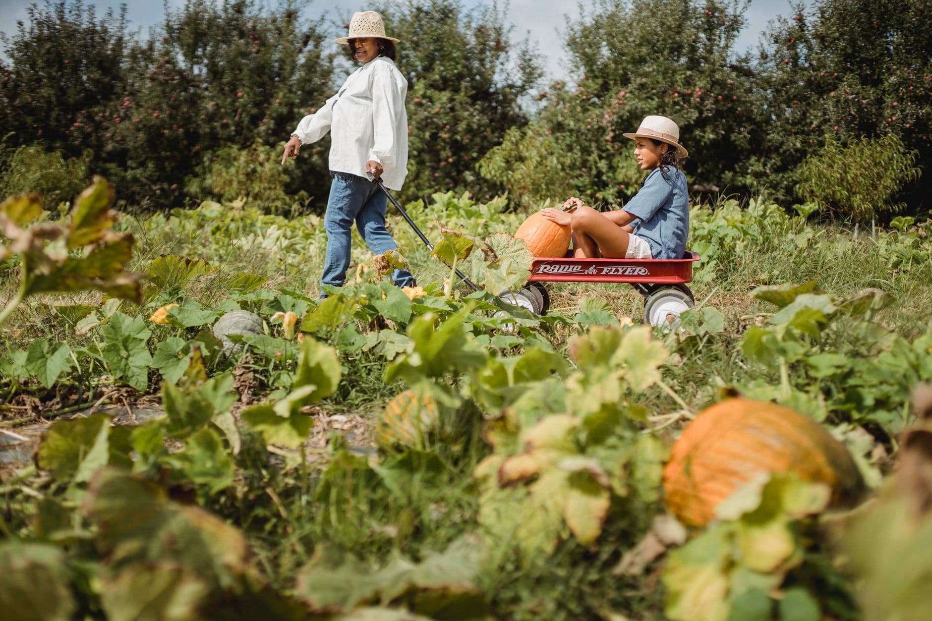 Bishop's Pumpkin Farm