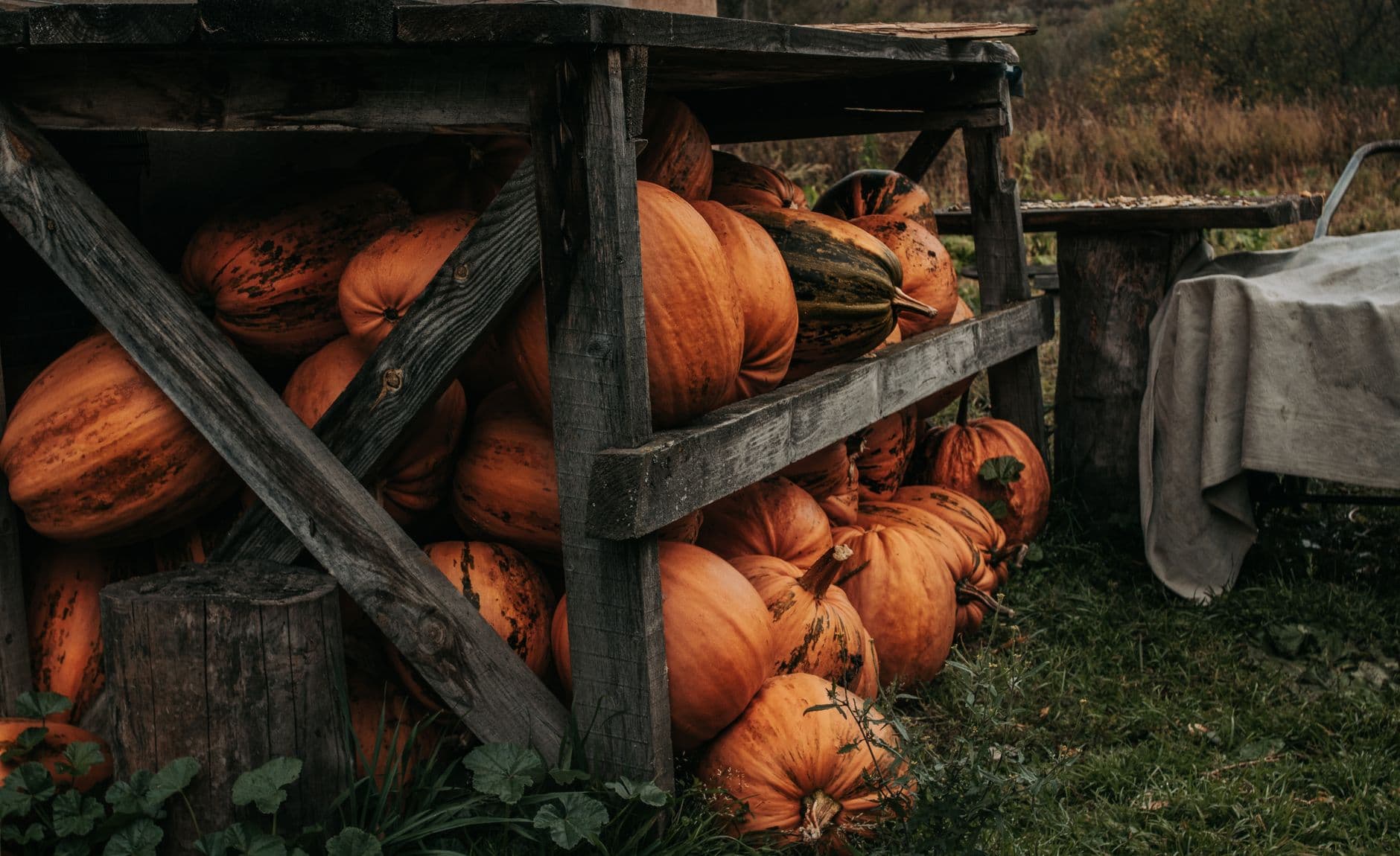 Butler's Orchard