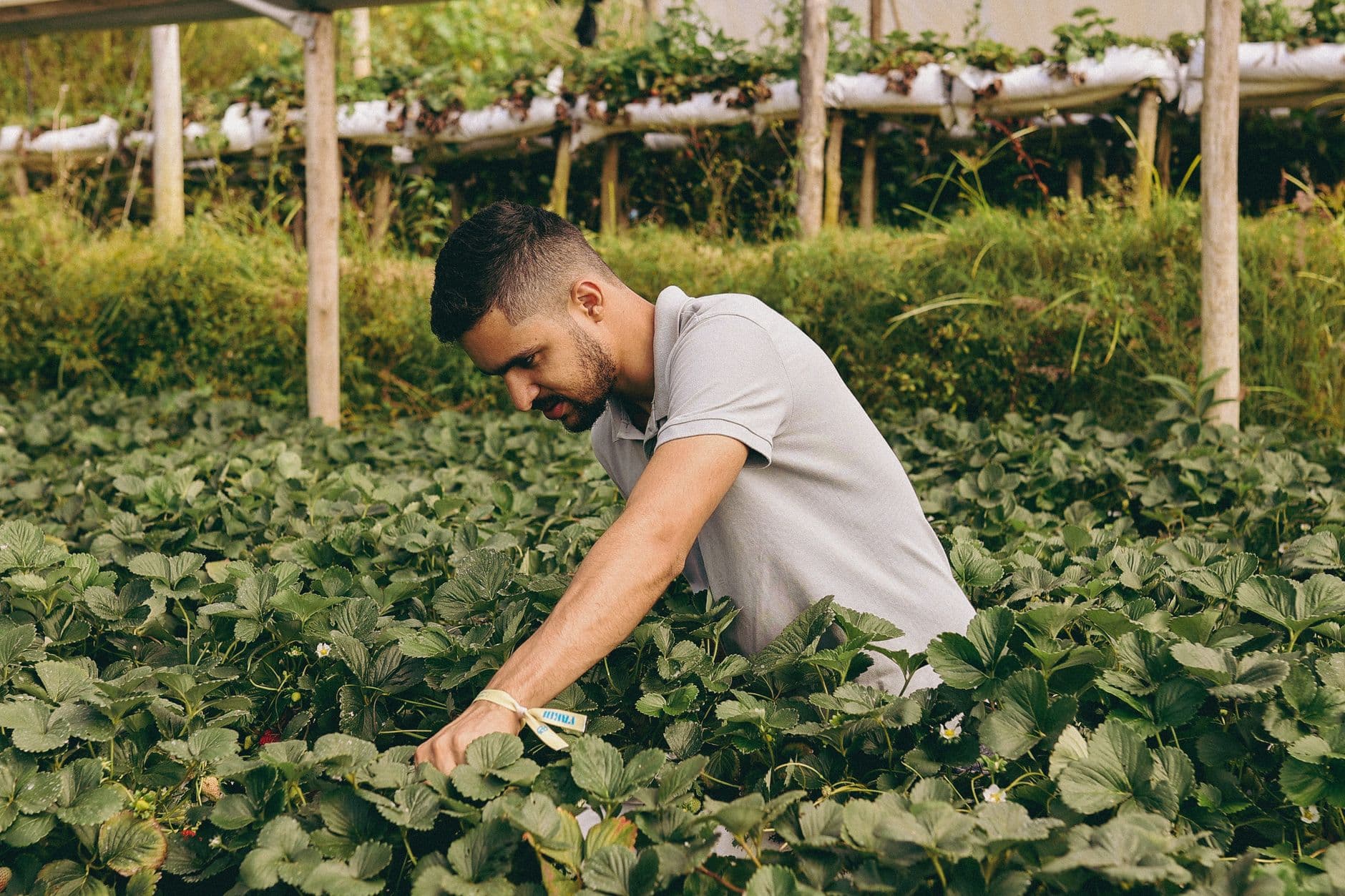 Connors Farm