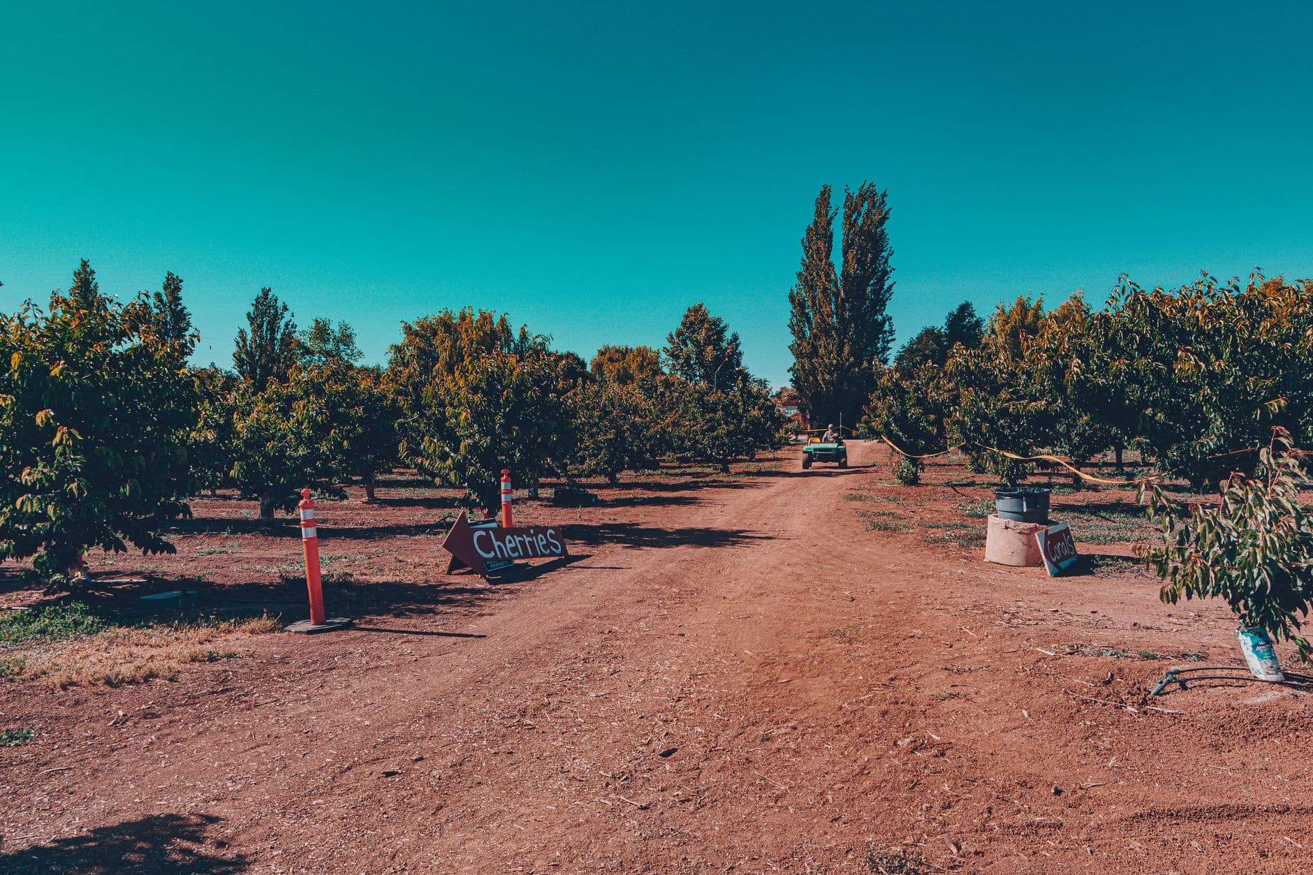 Crane Orchards
