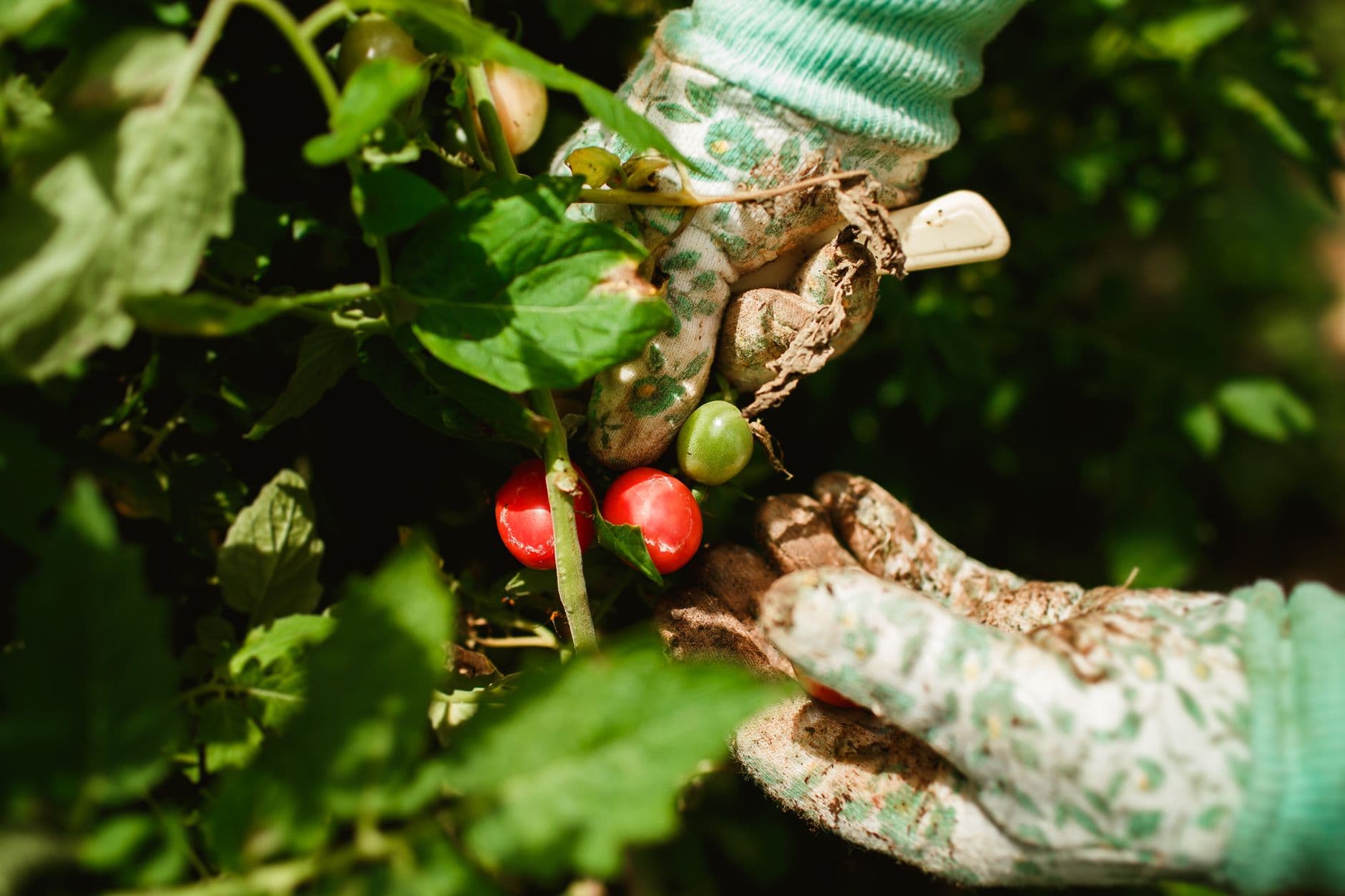 Demulling Farm