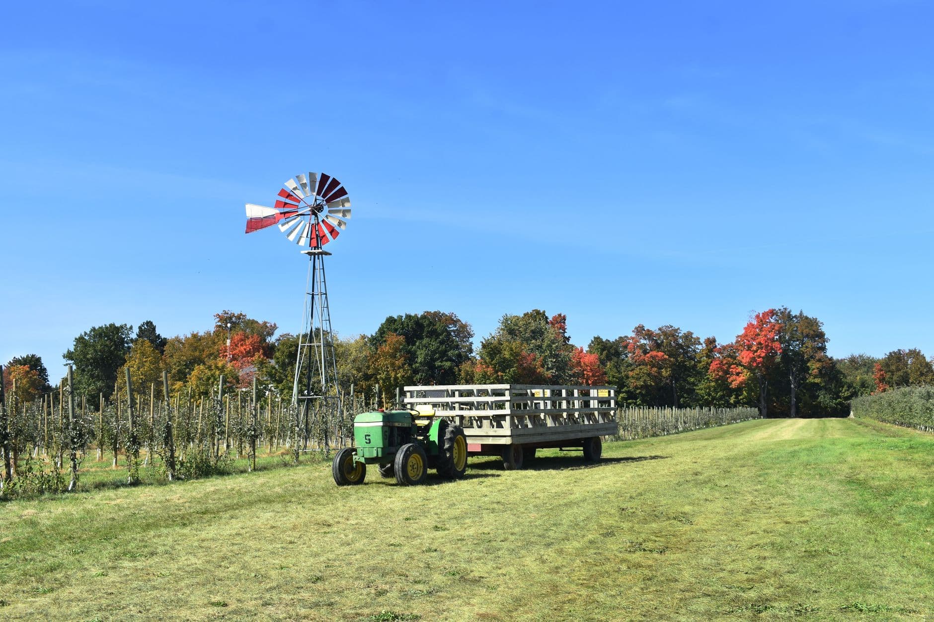 Eddy's Fruit Farm