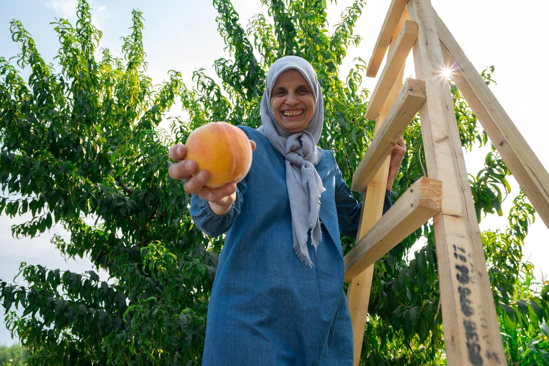 Farmer's Daughter Produce