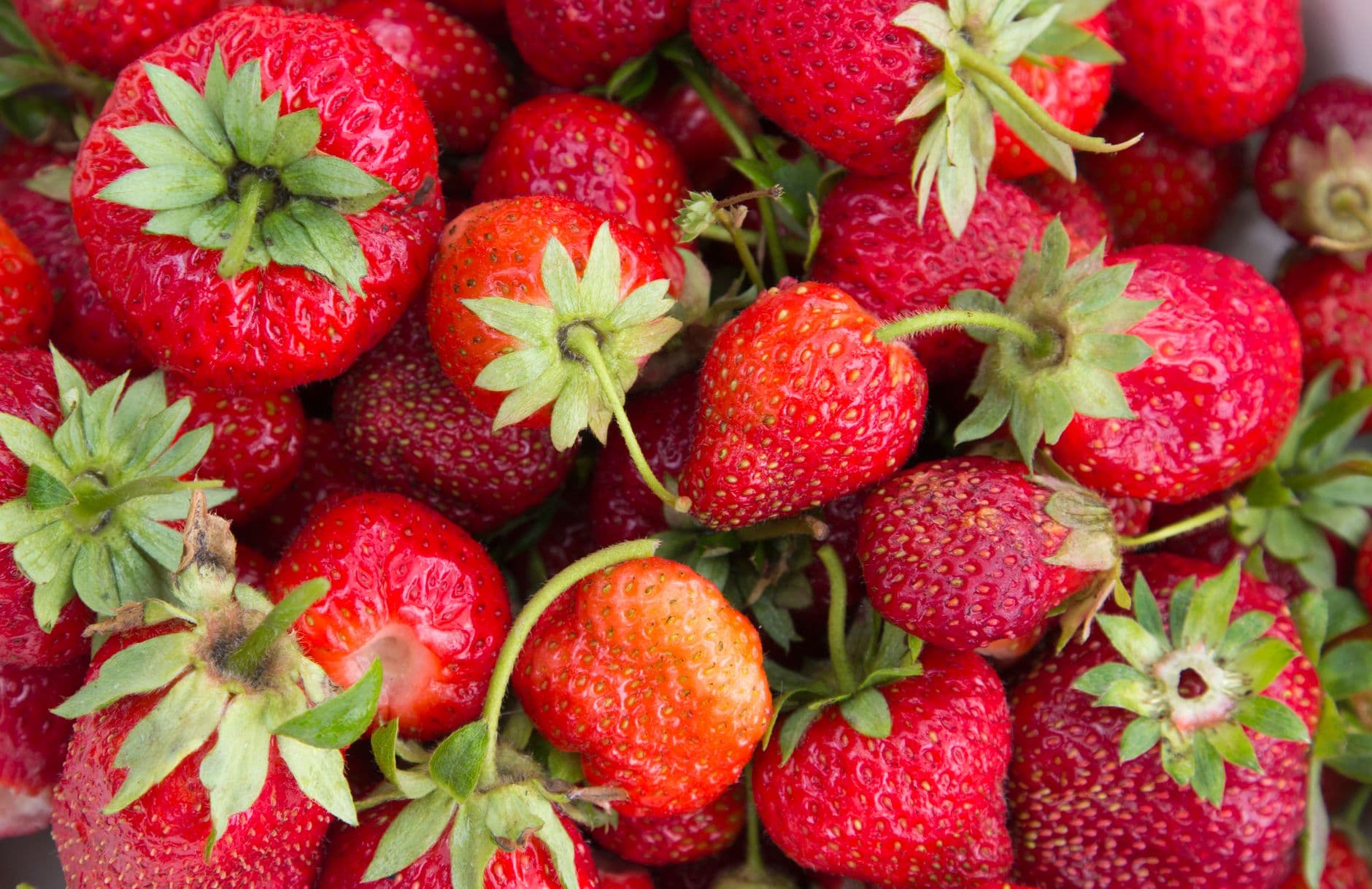 Fitzgerald Fruit Farms