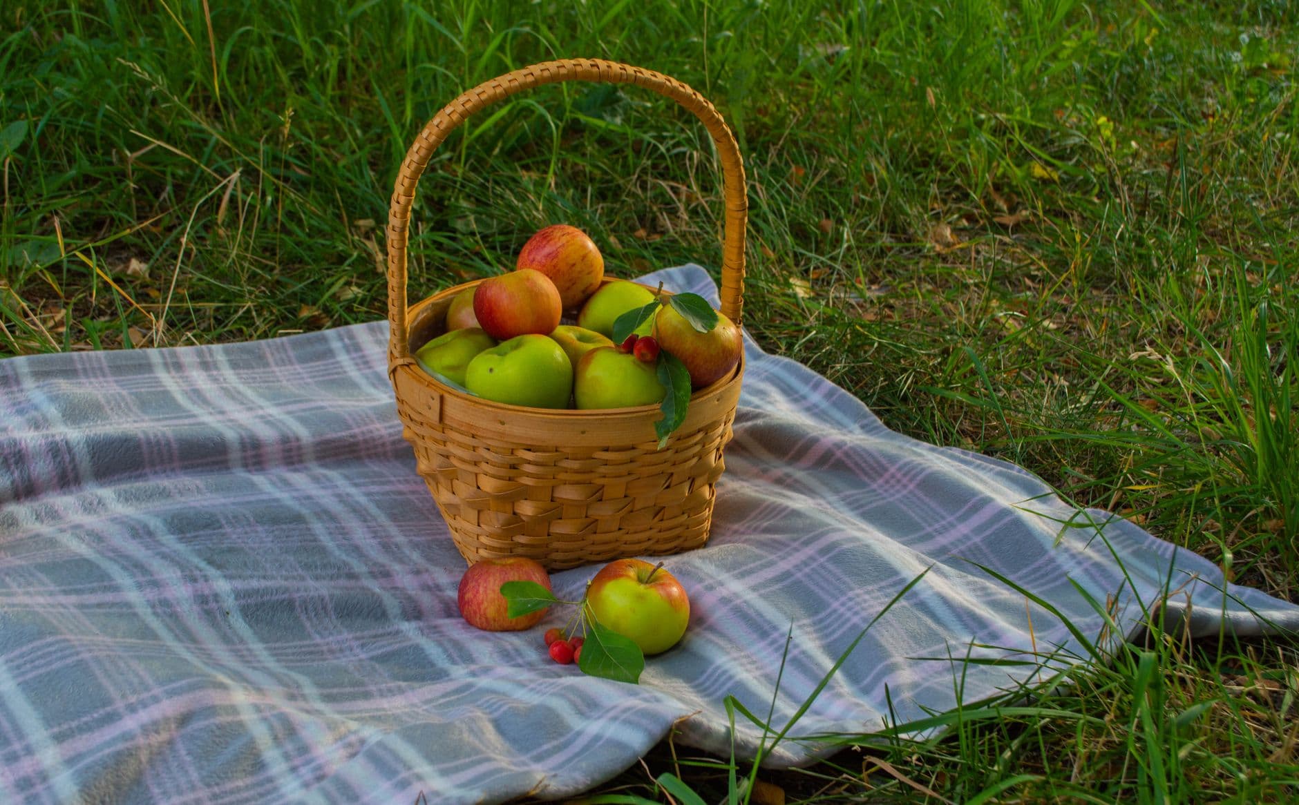 Garwood Orchards