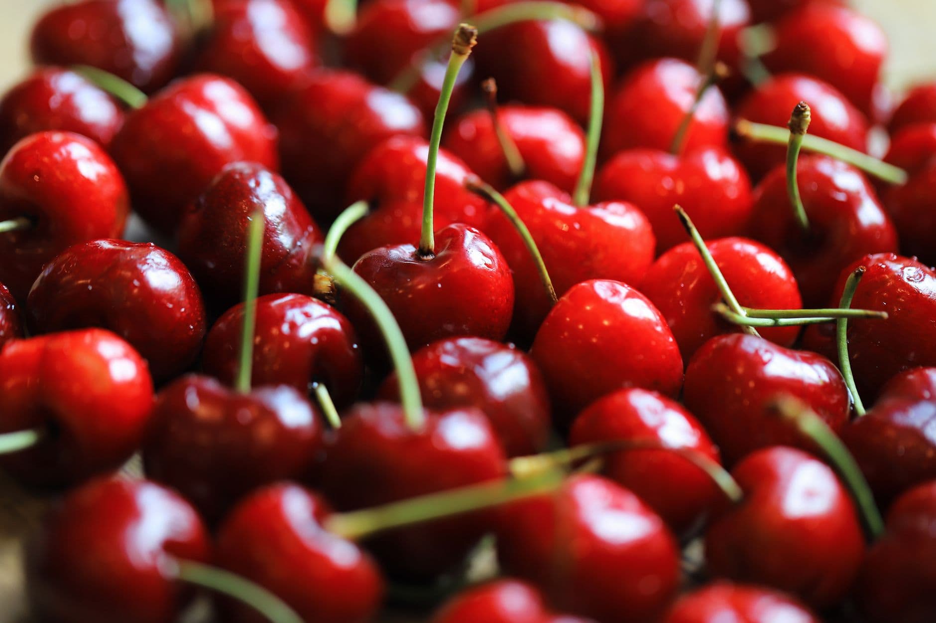 gilroyUpick