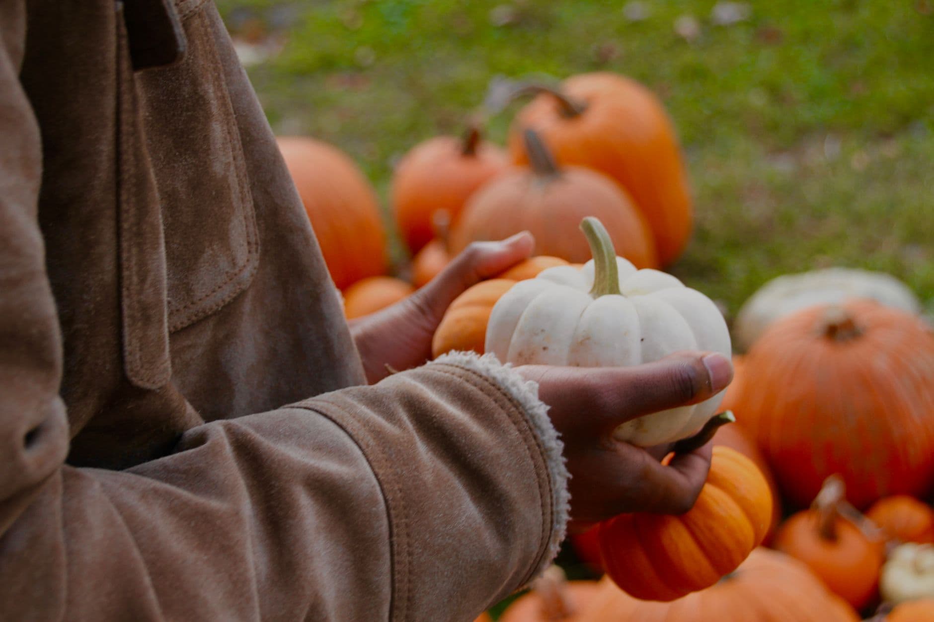 Glover Farms