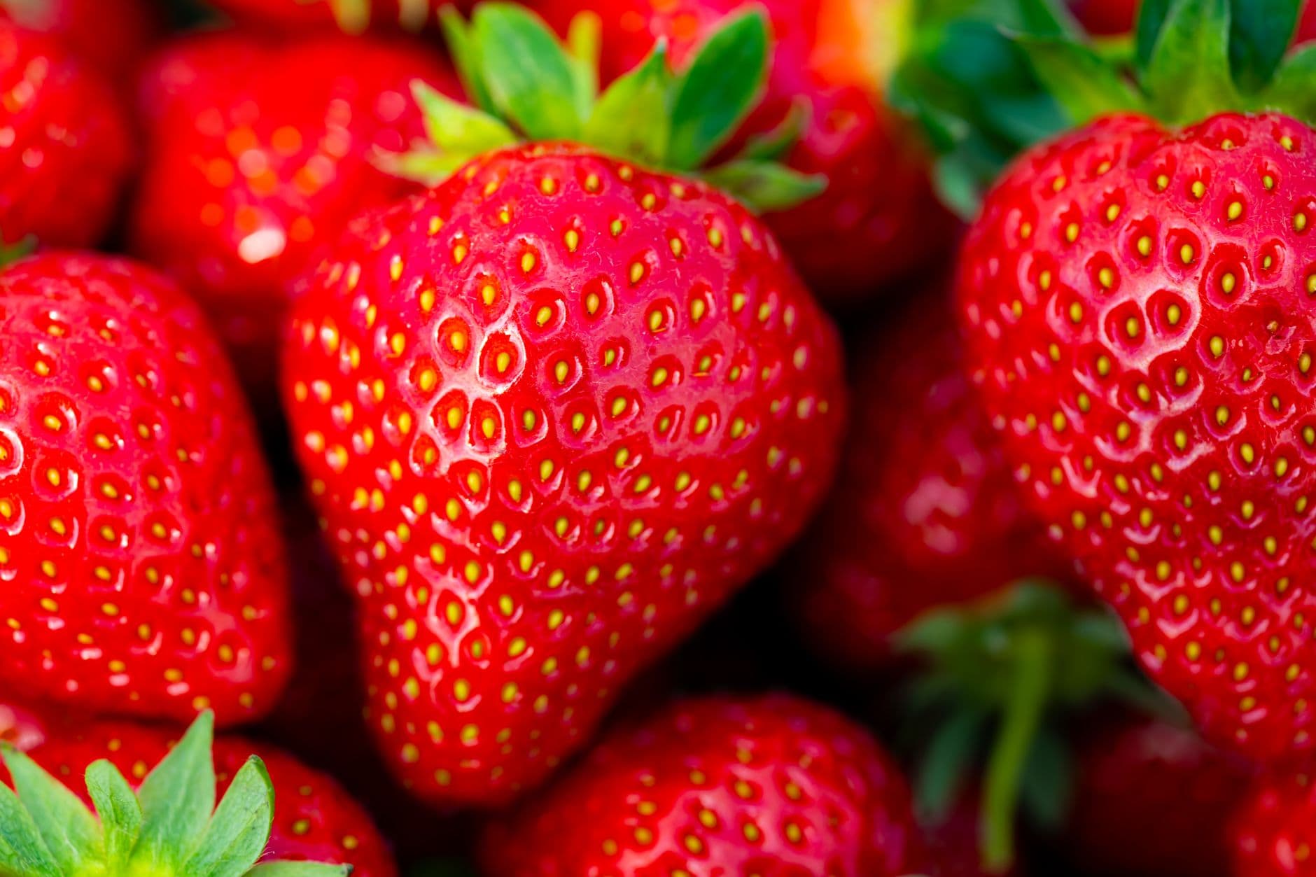 Hanulcik Farm Market & Orchard