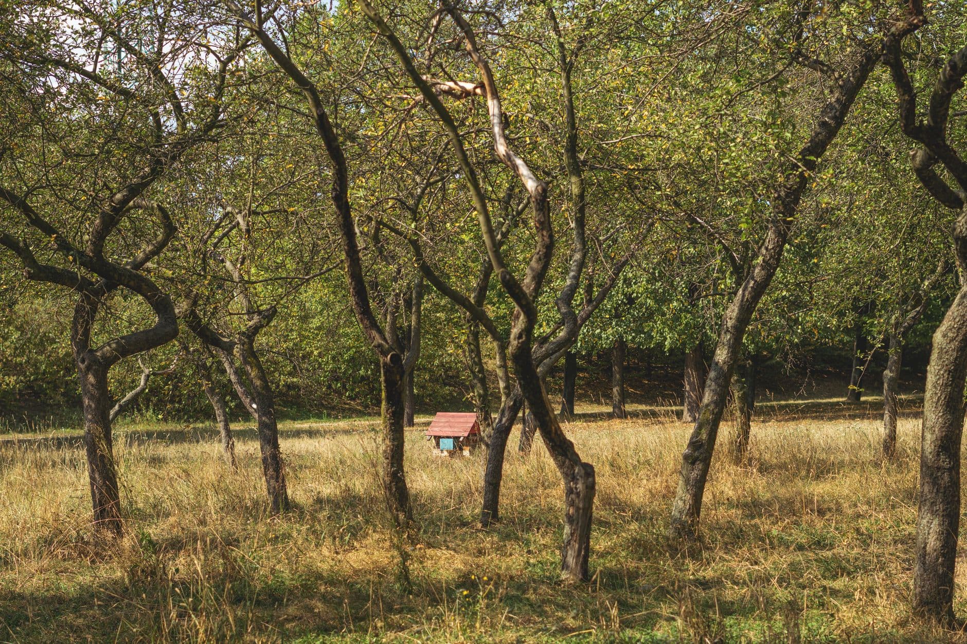 Harvest Moon Farm and Orchard