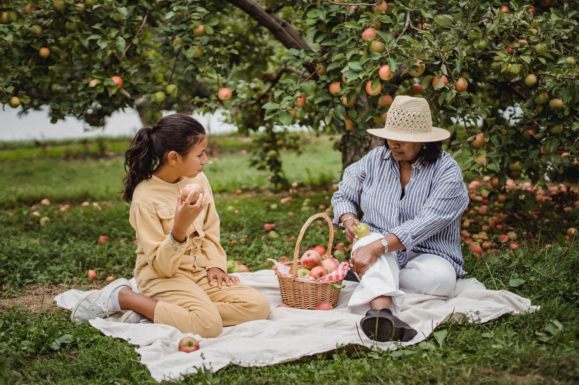 Havlicek's Orchard
