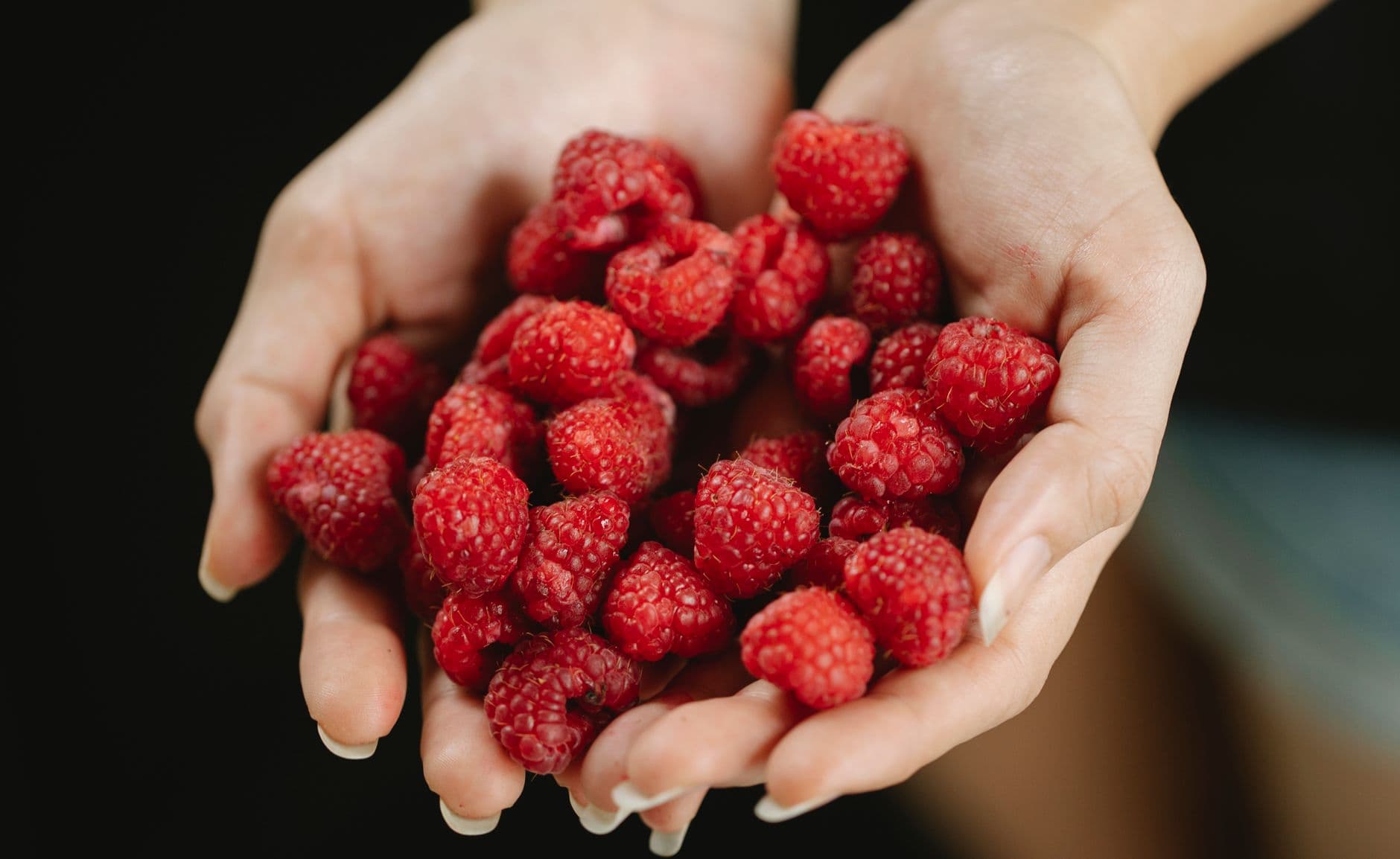 Heider's Berry Farm
