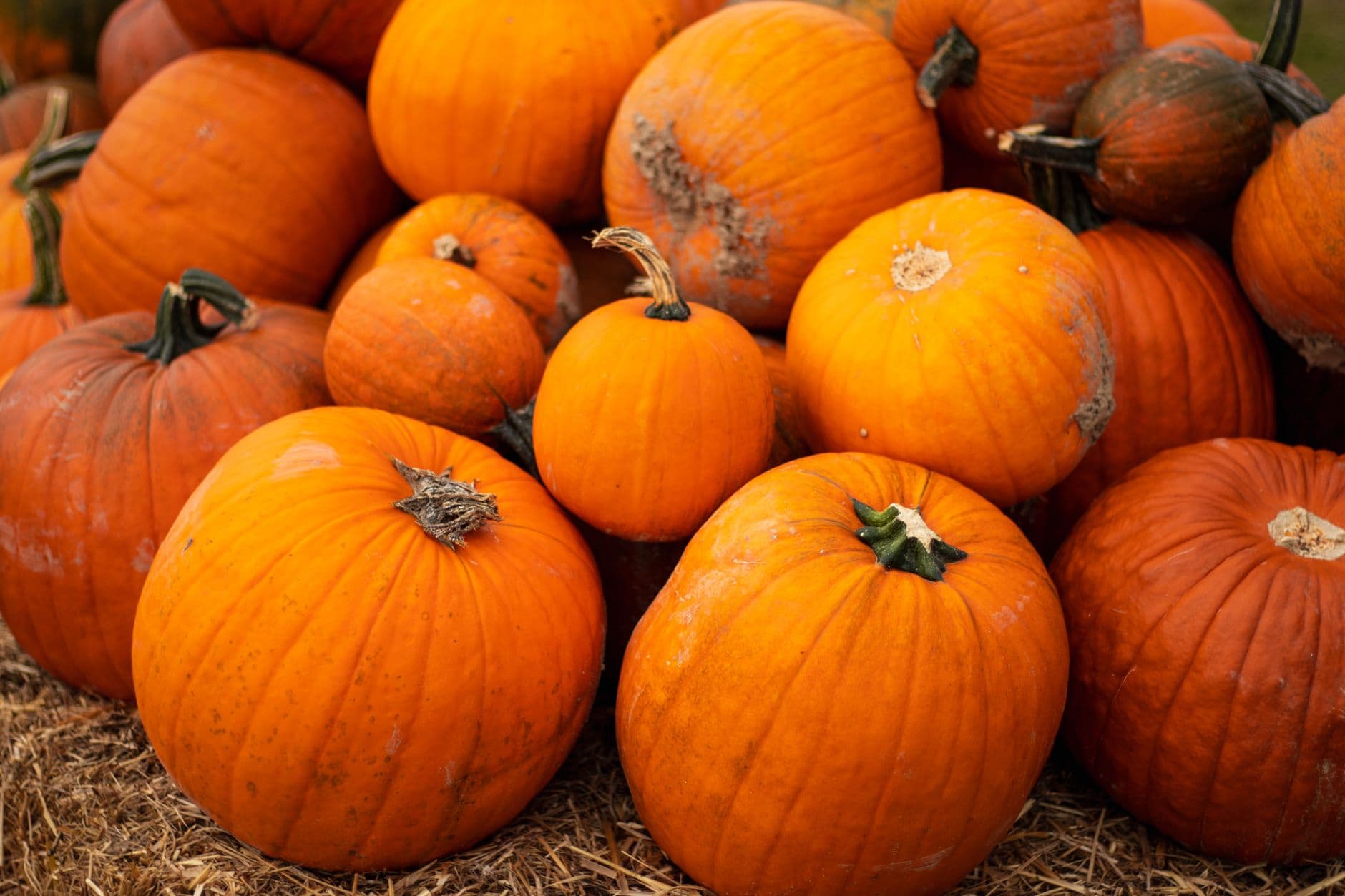 Heidi's Farmstand and Bakery