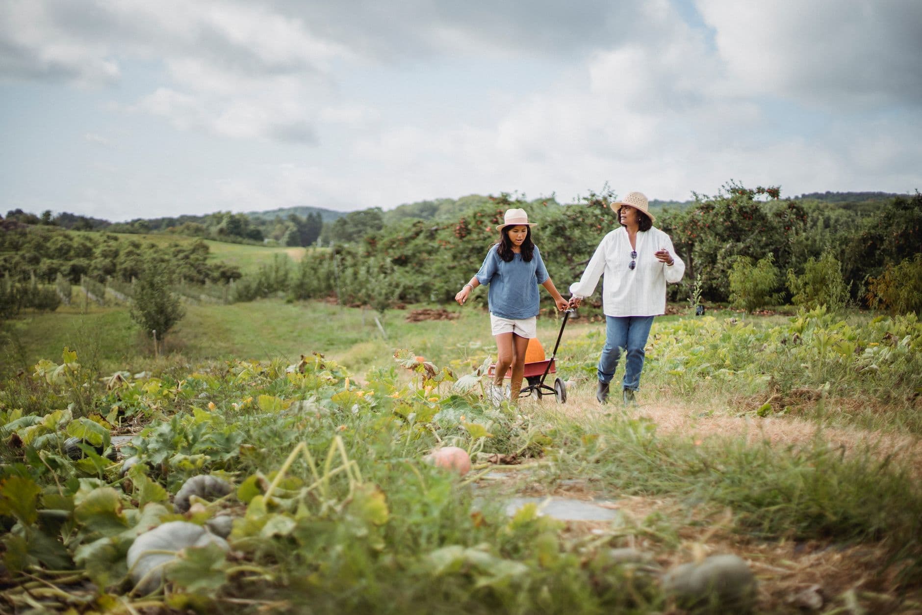 HillView Farms