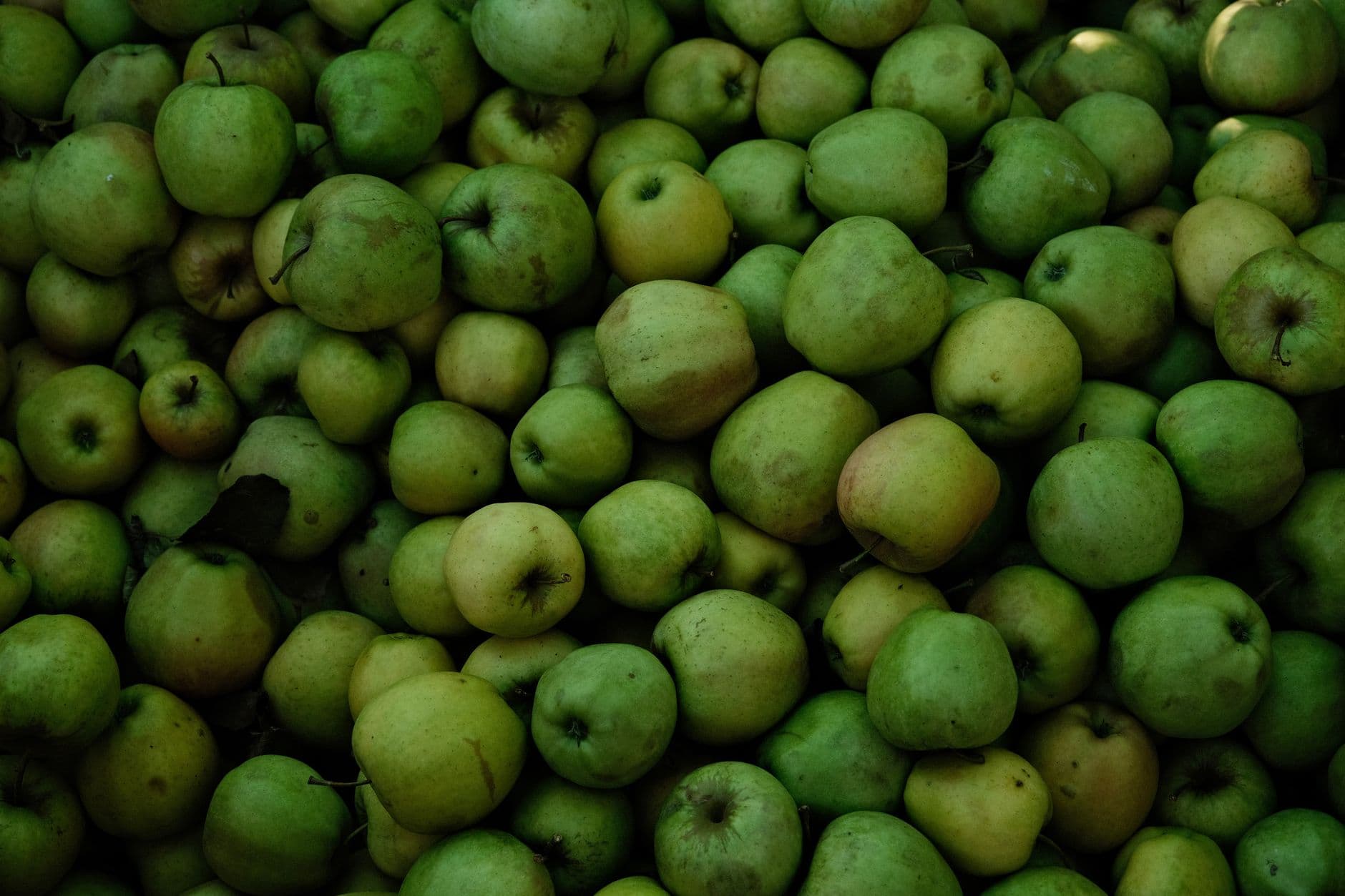 Honey Pot Hill Orchards