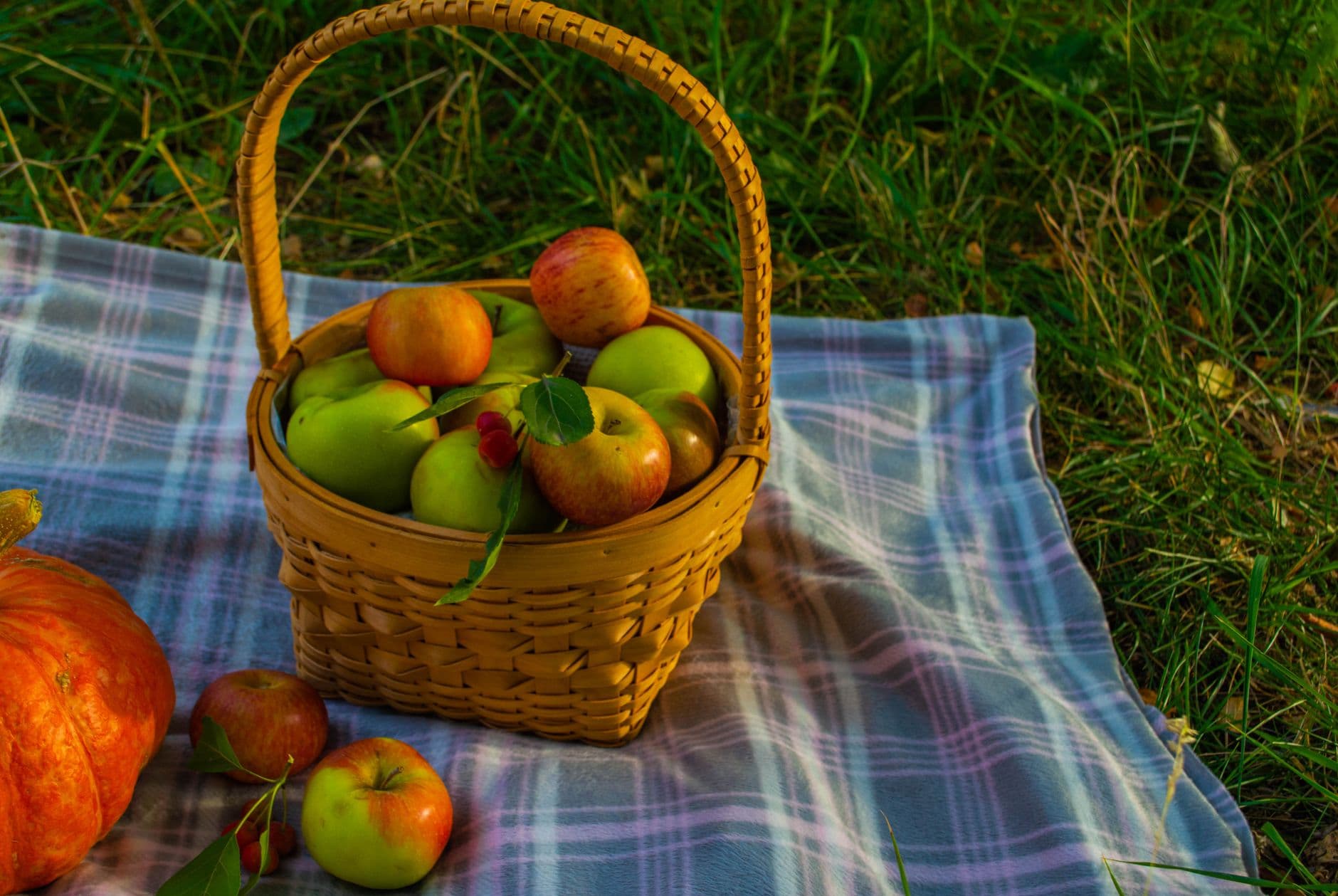 Johnson's Farm Produce