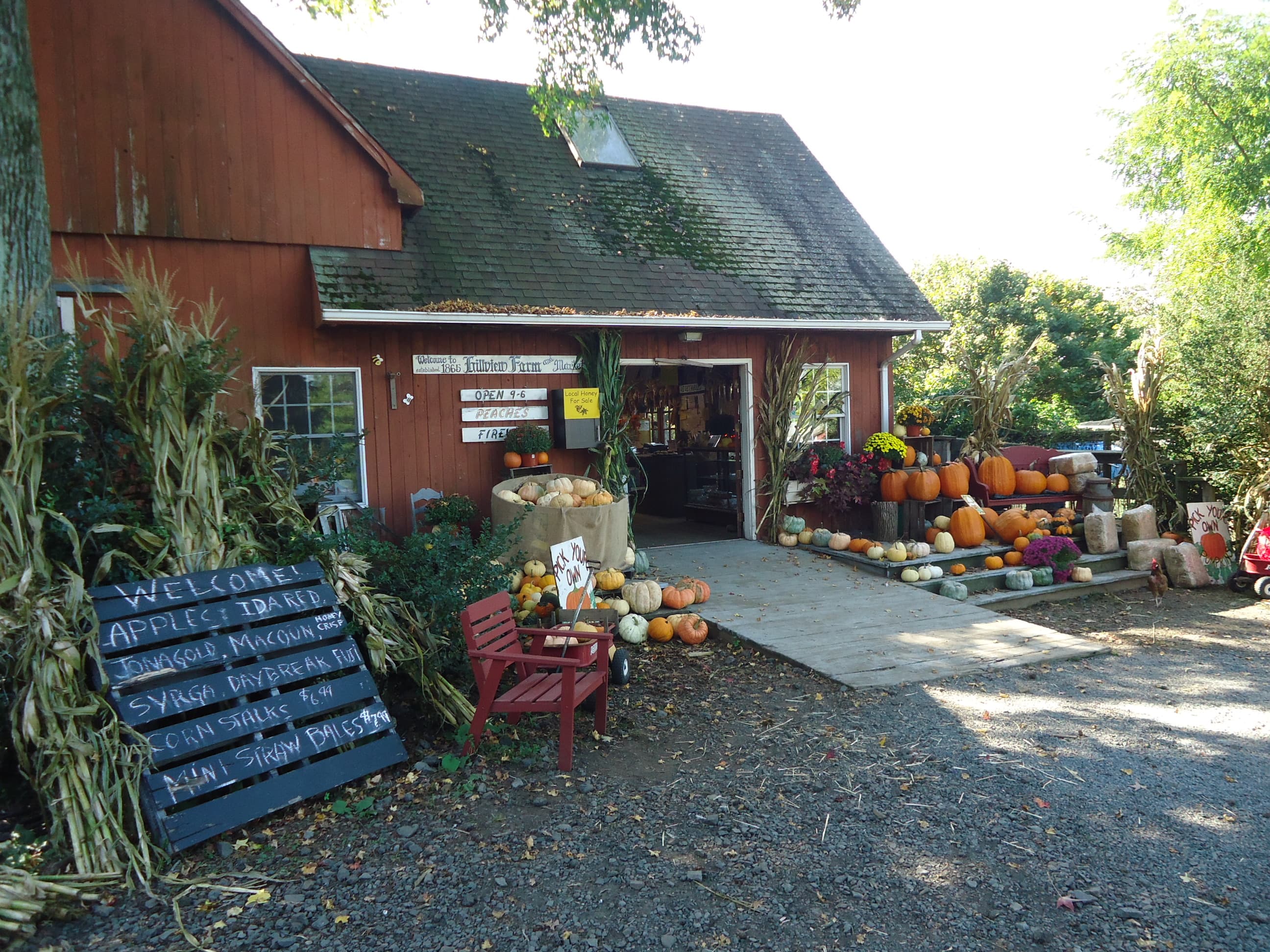 Jones Family Farms