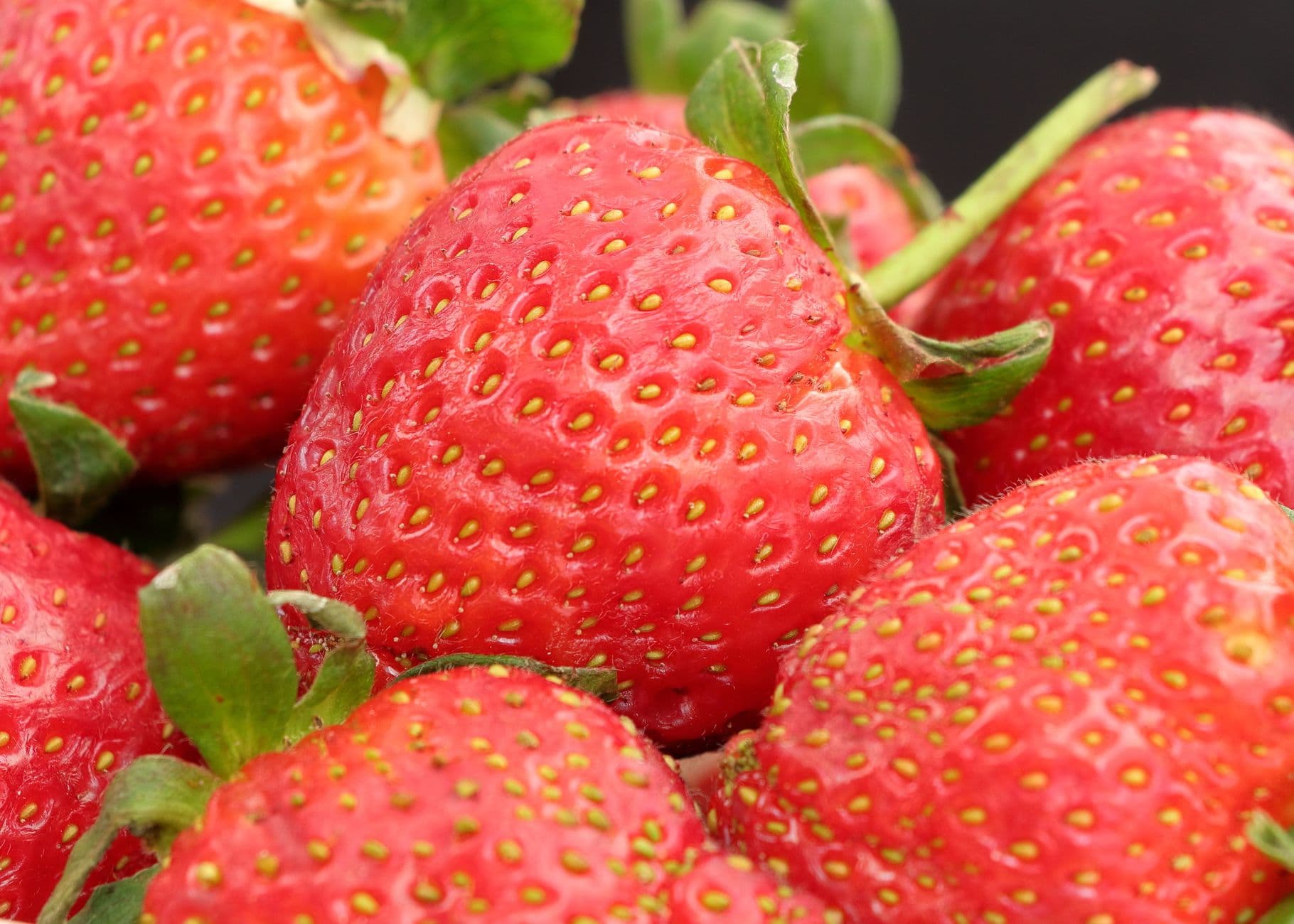 Maple Acres Farm Market
