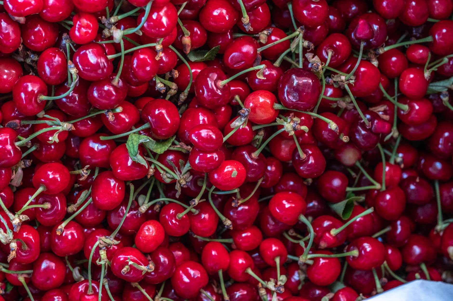 Mariani Orchards