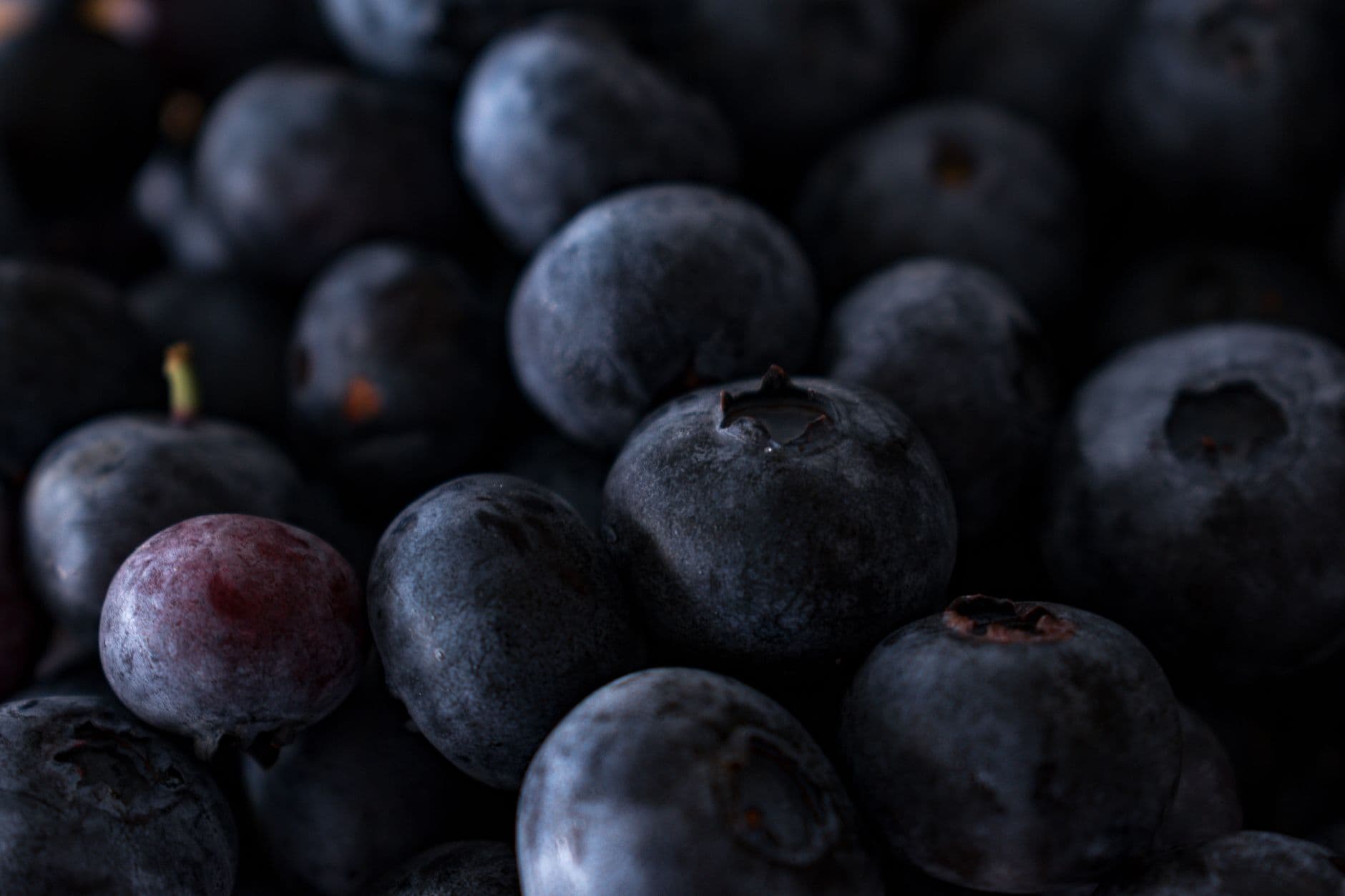 Olalla U-Pick Blueberry Farm