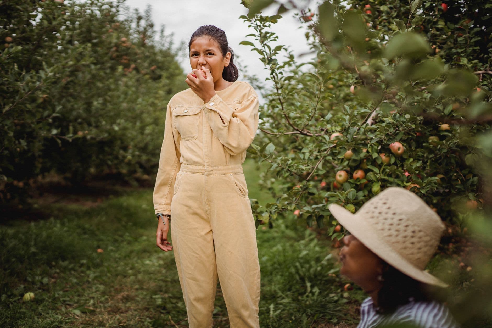 Park Hill Orchard
