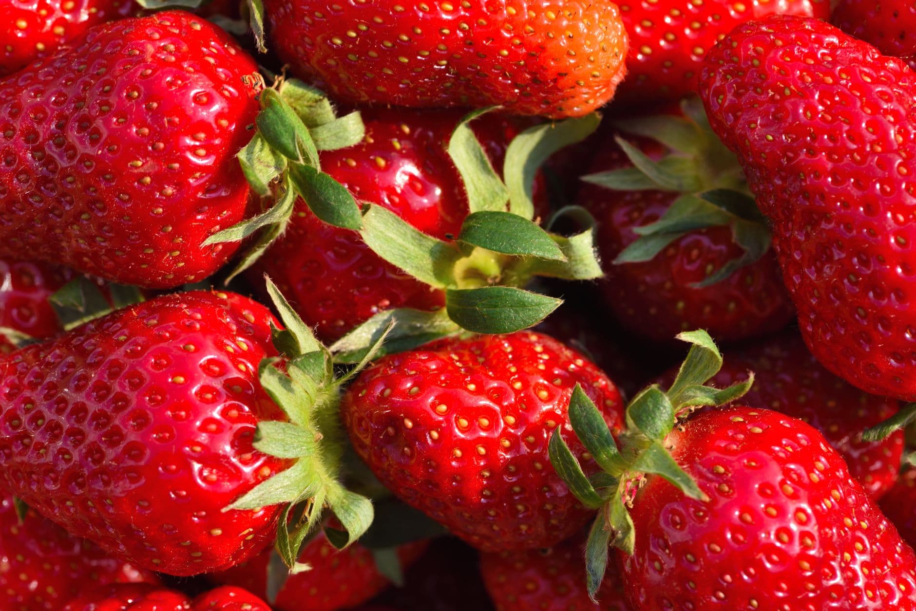 Patterson Farm Market & Tours