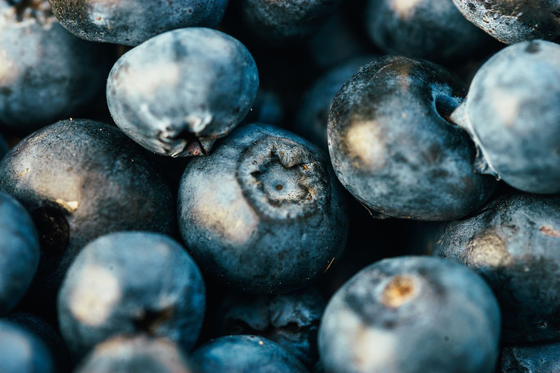 Redland Blueberry Farm