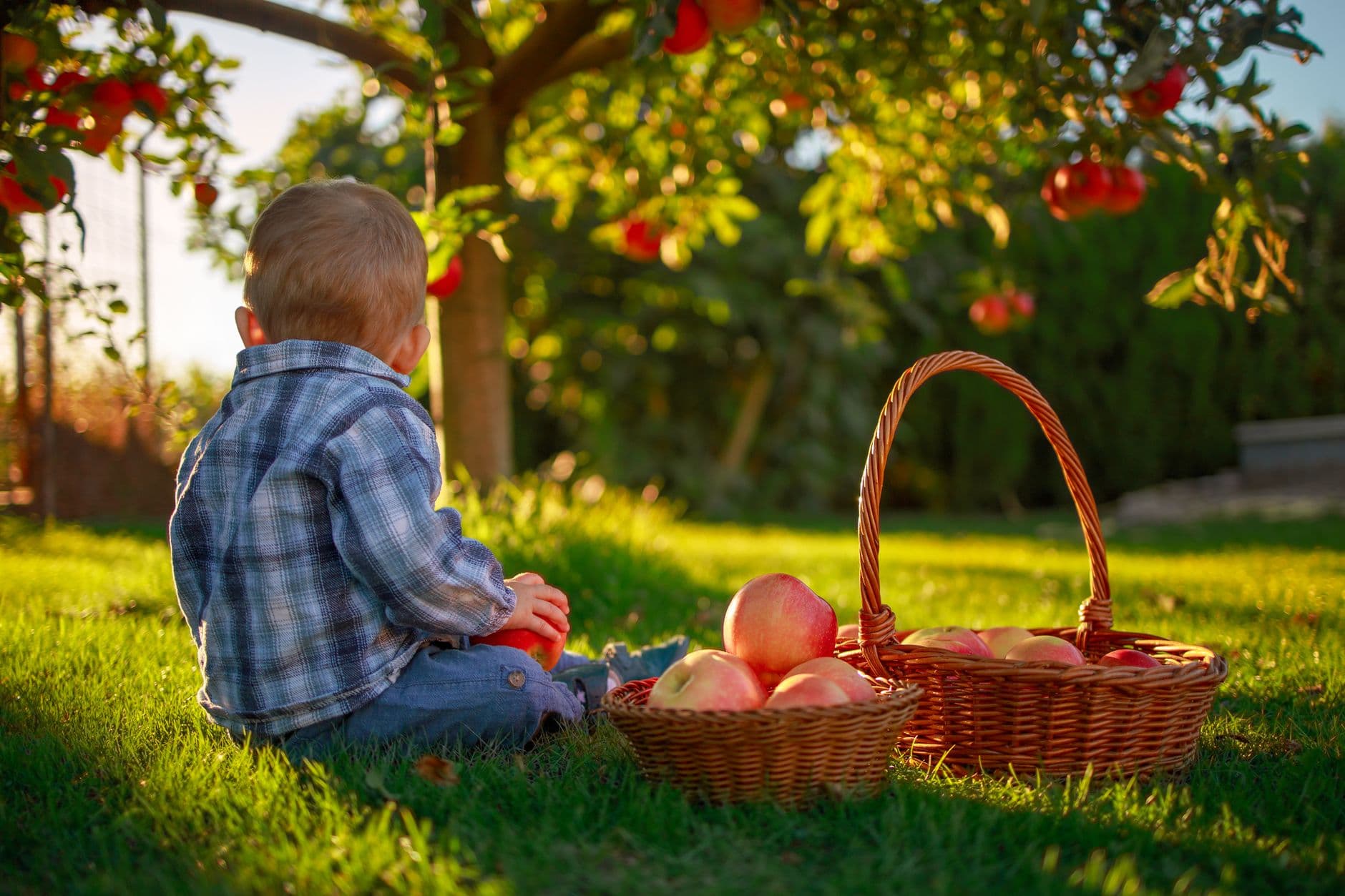 Robinette's Apple Haus & Winery
