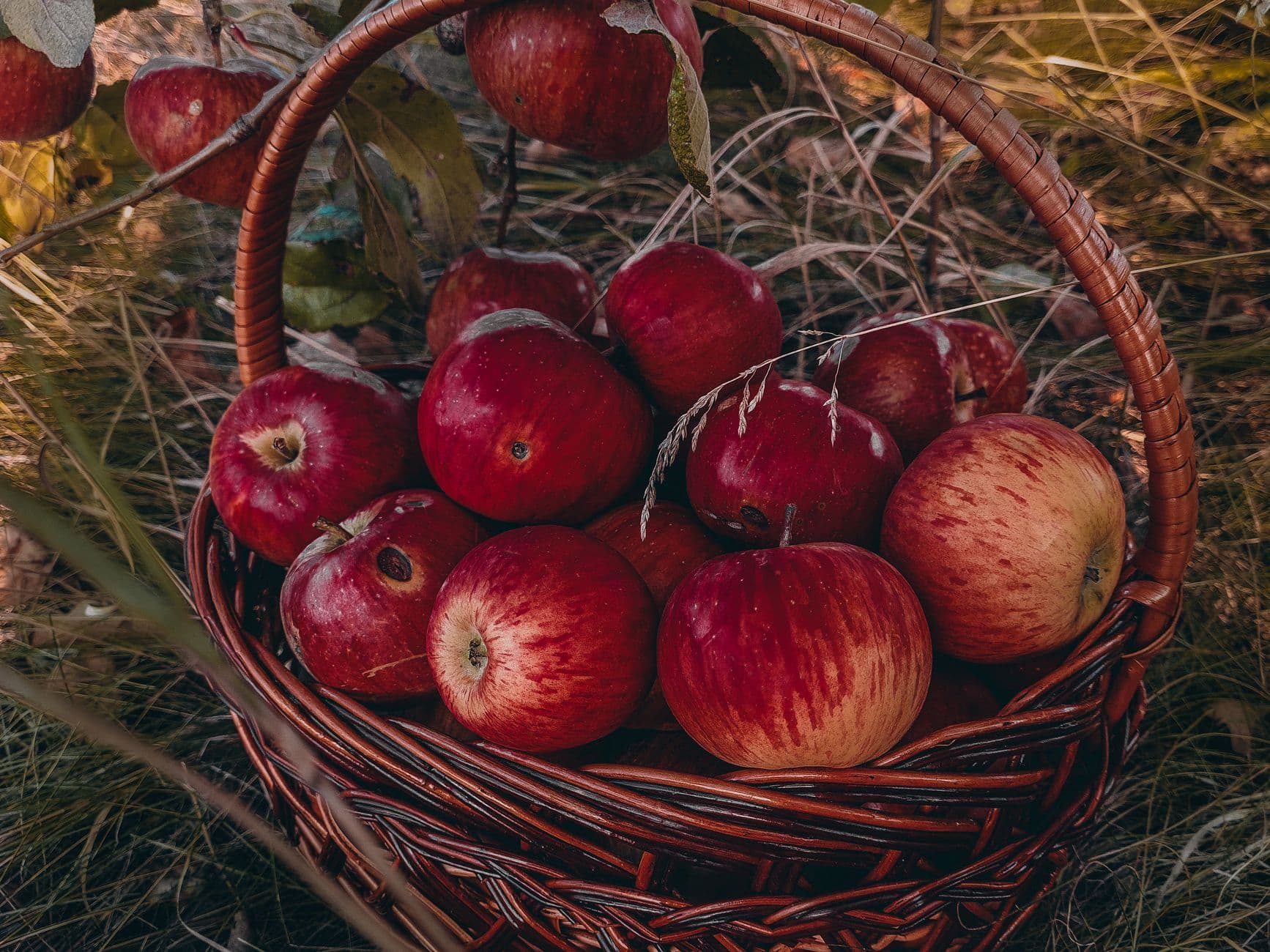 Stade's Farm & Market