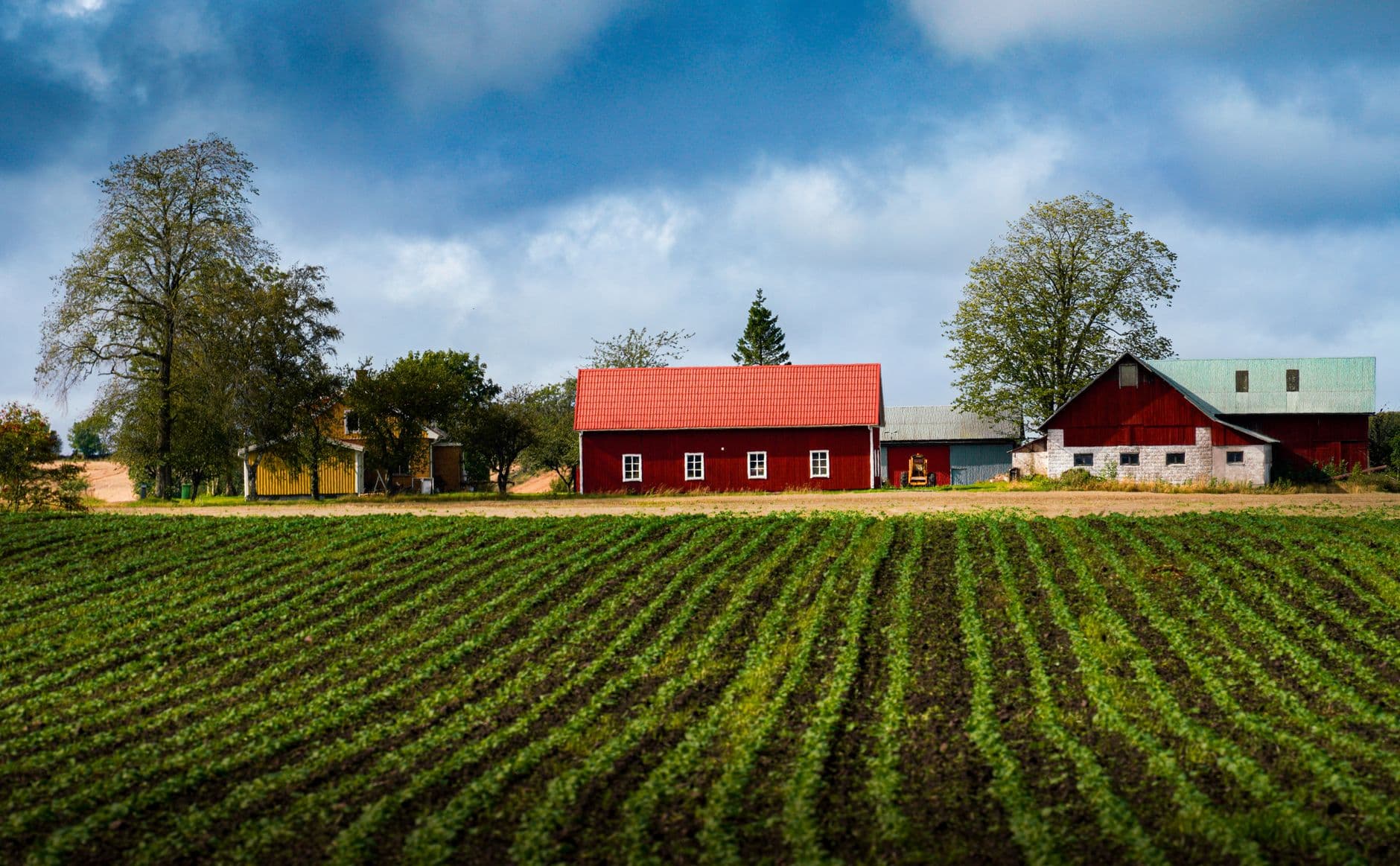 Steffen Orchards