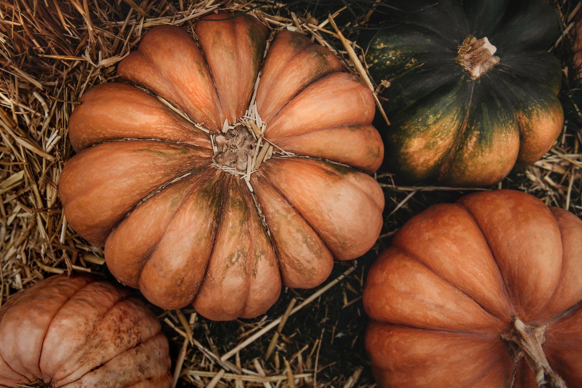 Tanaka Farms