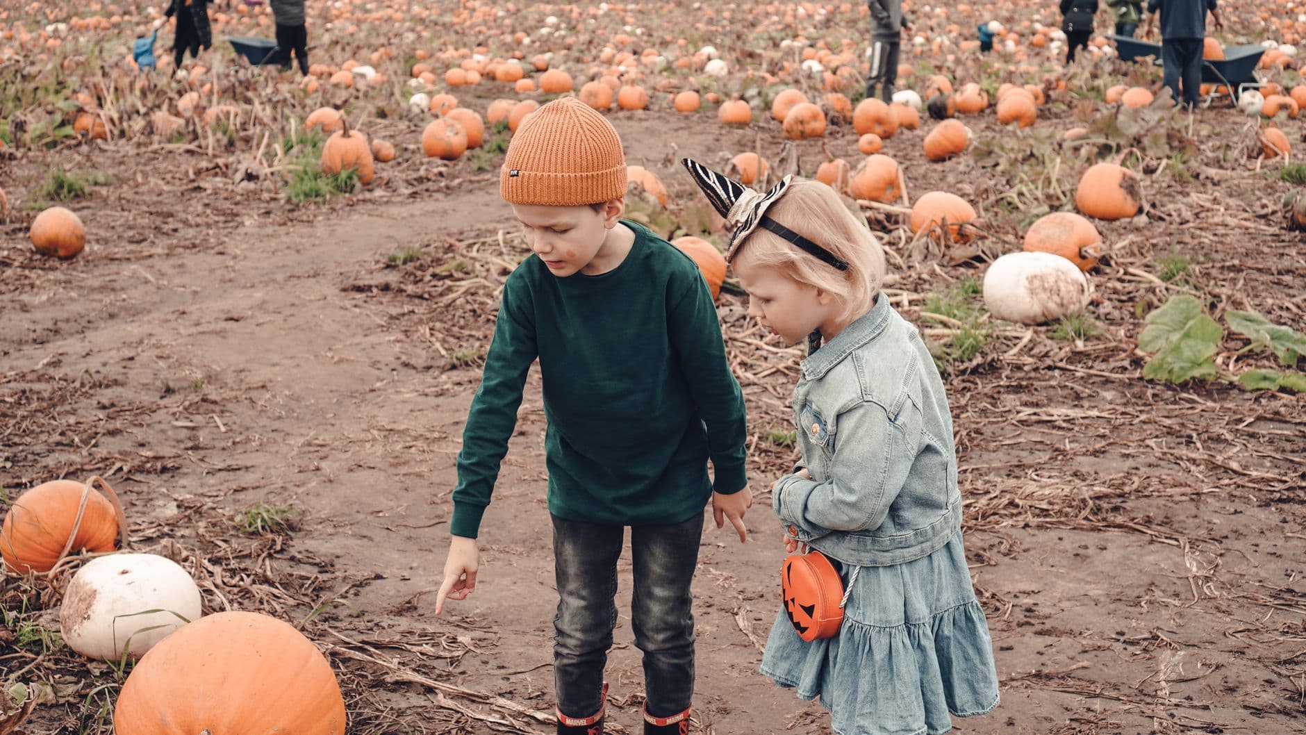 Thanksgiving Farms