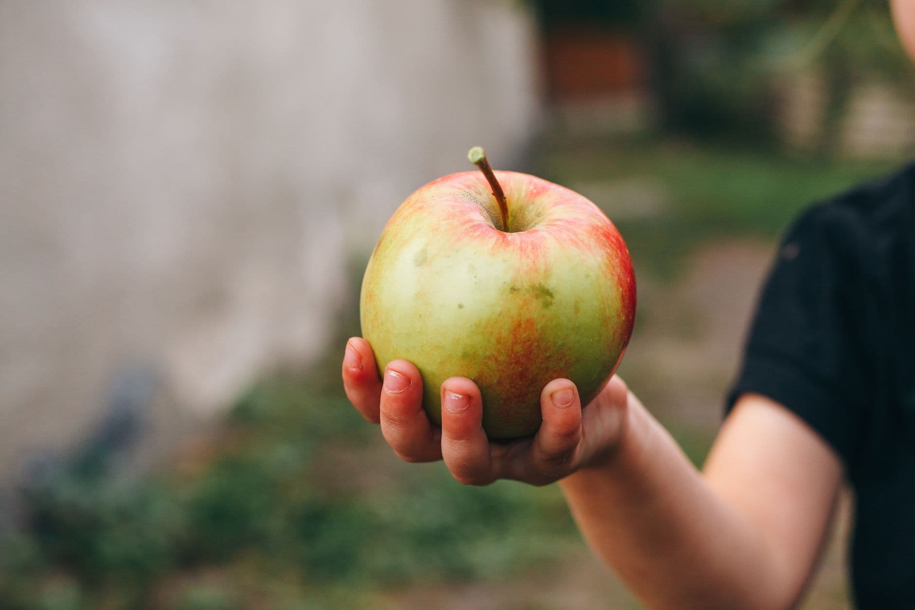 The Apple Farm Stand at Stonegoose Farms