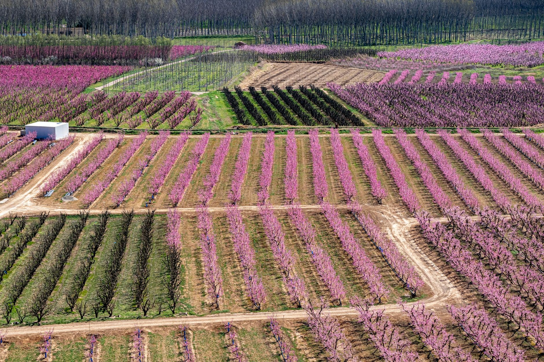 Tougas Family Farm