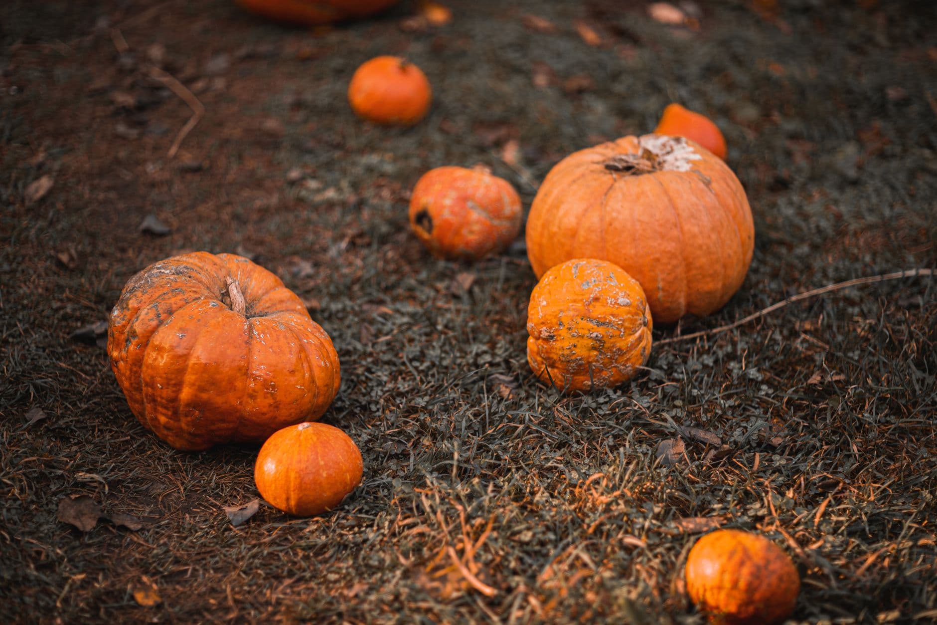 Pumpkins